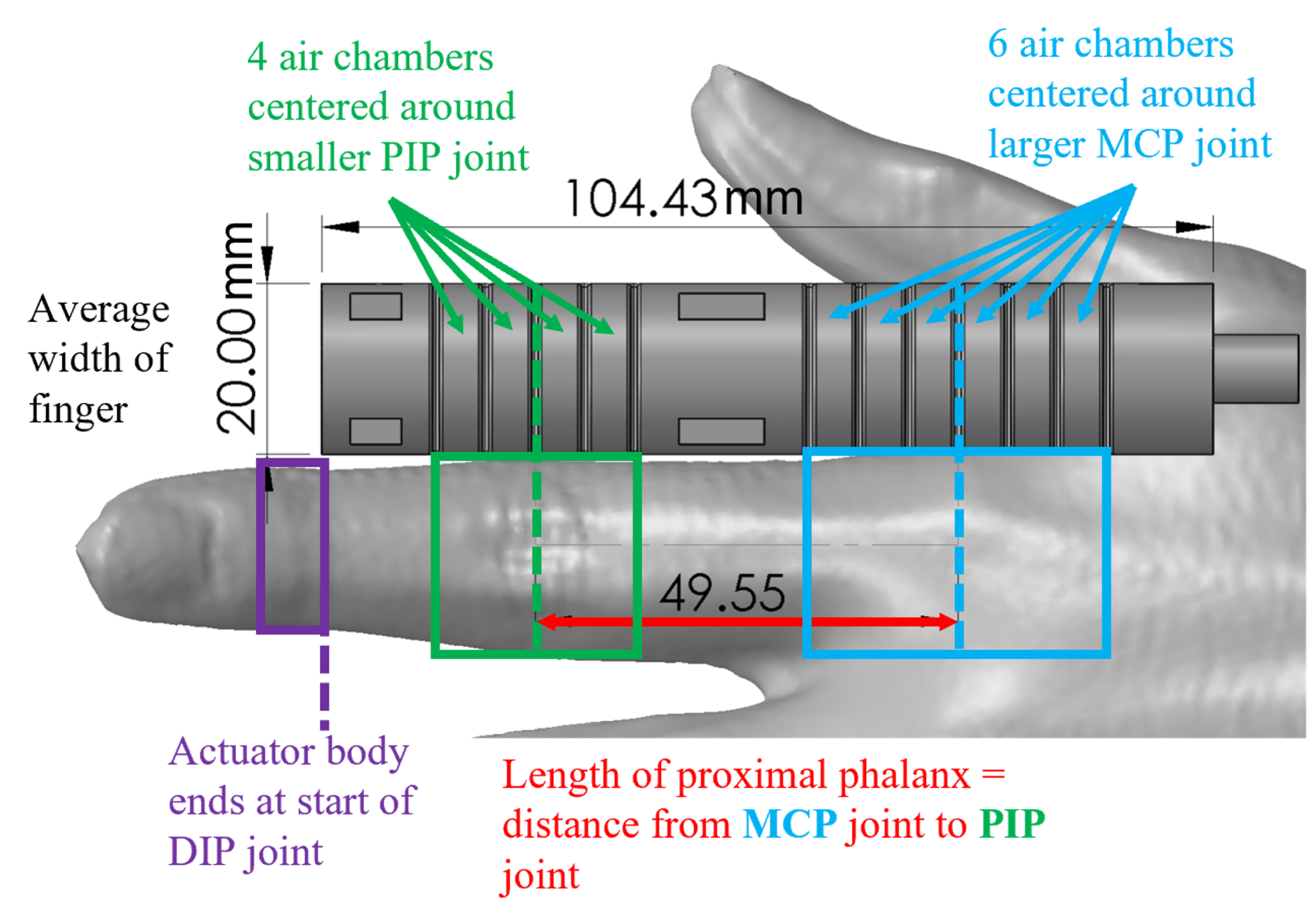 Finger_Measurement